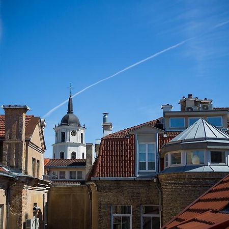 Cathedral Sq. Apartment - Odminiu Str. Vilnius Kültér fotó