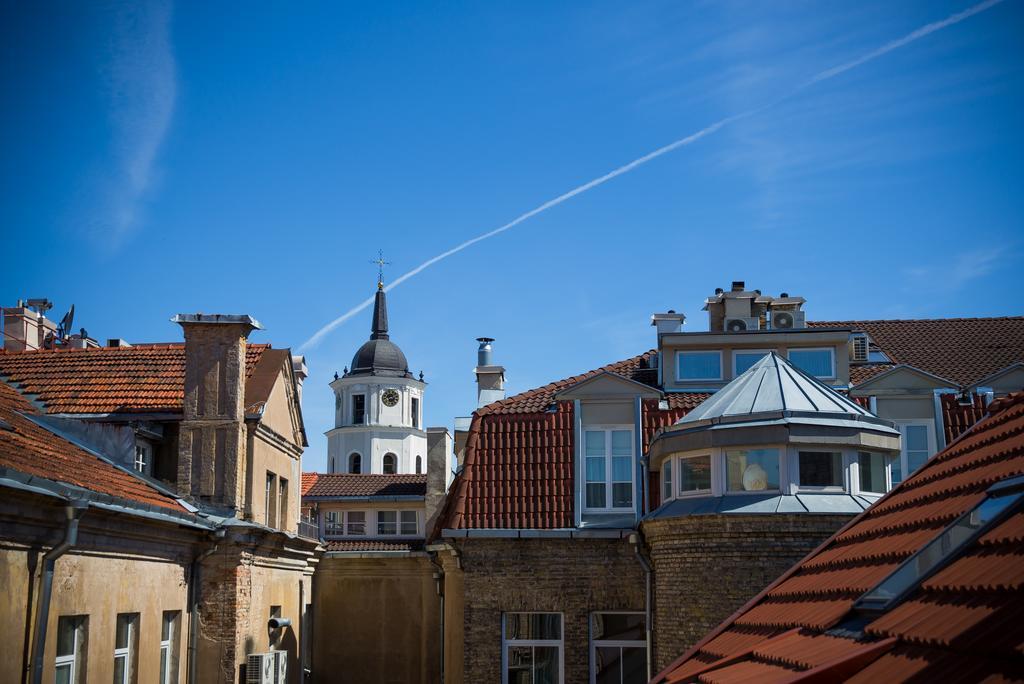 Cathedral Sq. Apartment - Odminiu Str. Vilnius Kültér fotó