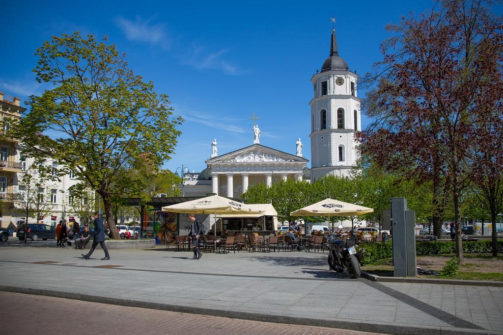 Cathedral Sq. Apartment - Odminiu Str. Vilnius Kültér fotó